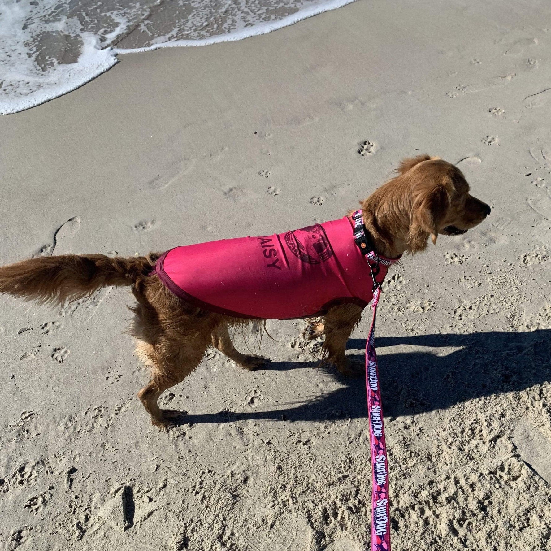  Sun Protection for dogs - Dog Rashies Dog Rashies sun protection for dogs. Surfdog Dog Rashies, tested and made around Aussie dogs for perfect fit and comfort. 