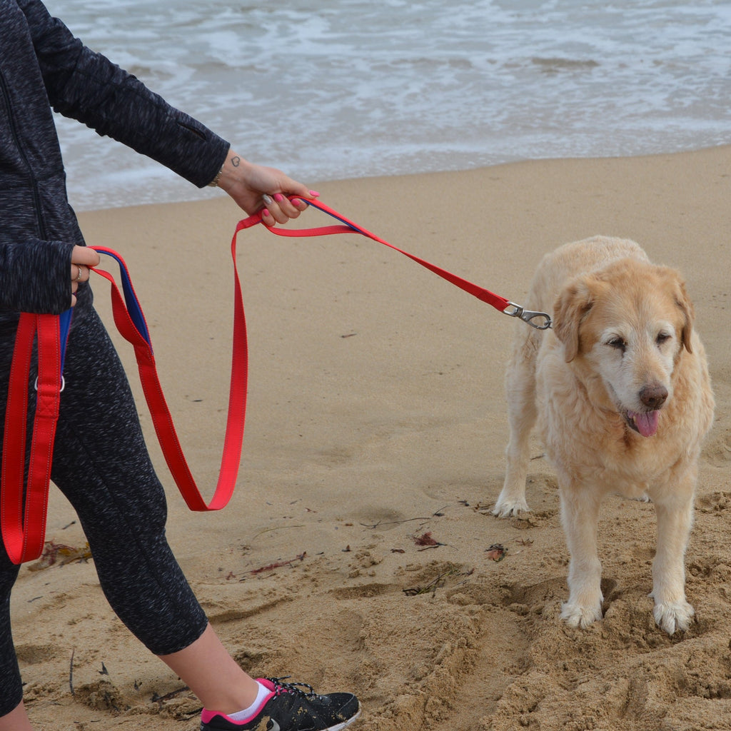 Surf Dog Australia Dog Leash -  Long 3 handles