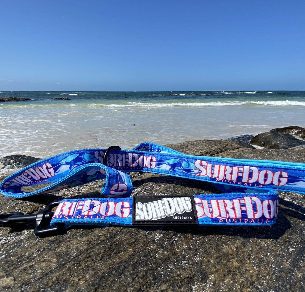 The brightest, coolest collars and leashes you will see on the beach this summer. Our collars and leashes are made with board short fabric in vibrant beach colours. Neoprene handles for comfort and 2 widths for small and large dogs. Dog leashes for dogs that love the beach