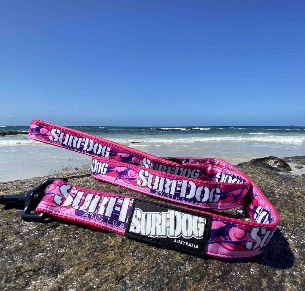 The brightest, coolest collars and leashes you will see on the beach this summer. Our collars and leashes are made with board short fabric in vibrant beach colours. Neoprene handles for comfort and 2 widths for small and large dogs. Dog leashes for dogs that love the beach