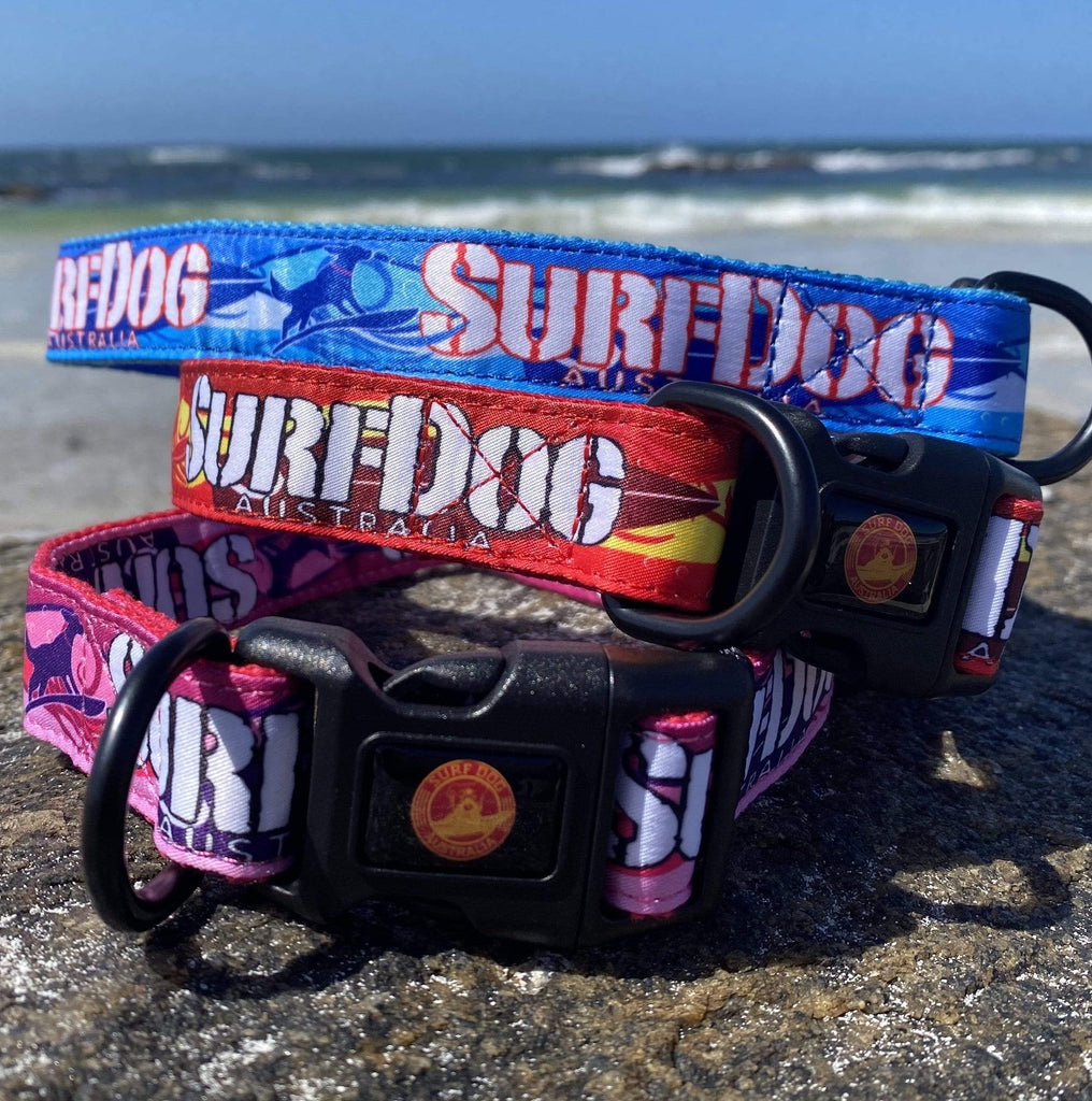 The brightest, coolest collars and leashes you will see on the beach this summer. Our collars and leashes are made with board short fabric in vibrant beach colours. Neoprene handles for comfort and 2 widths for small and large dogs. Dog leashes for dogs that love the beach
