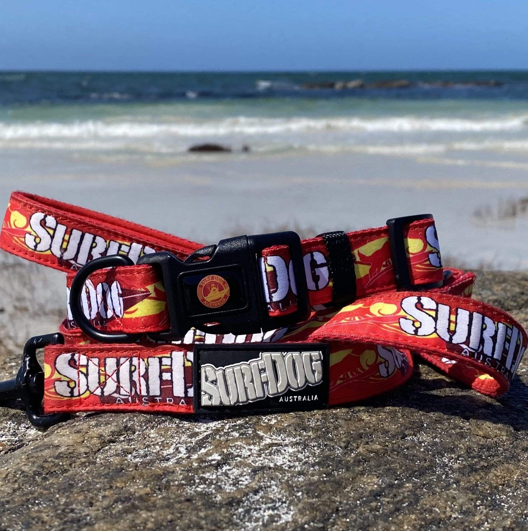 Dog Leash for the beach