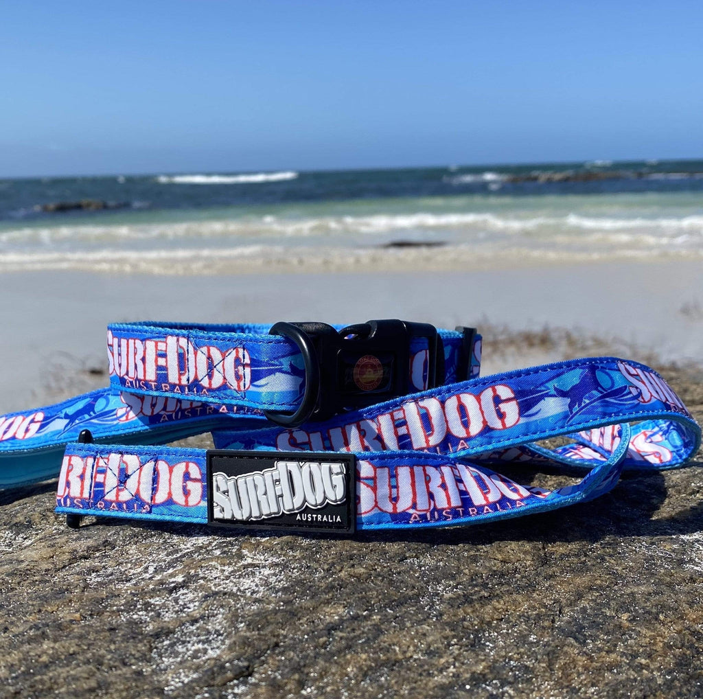 The brightest, coolest collars and leashes you will see on the beach this summer. Our collars and leashes are made with board short fabric in vibrant beach colours. Neoprene handles for comfort and 2 widths for small and large dogs. Dog leashes for dogs that love the beach