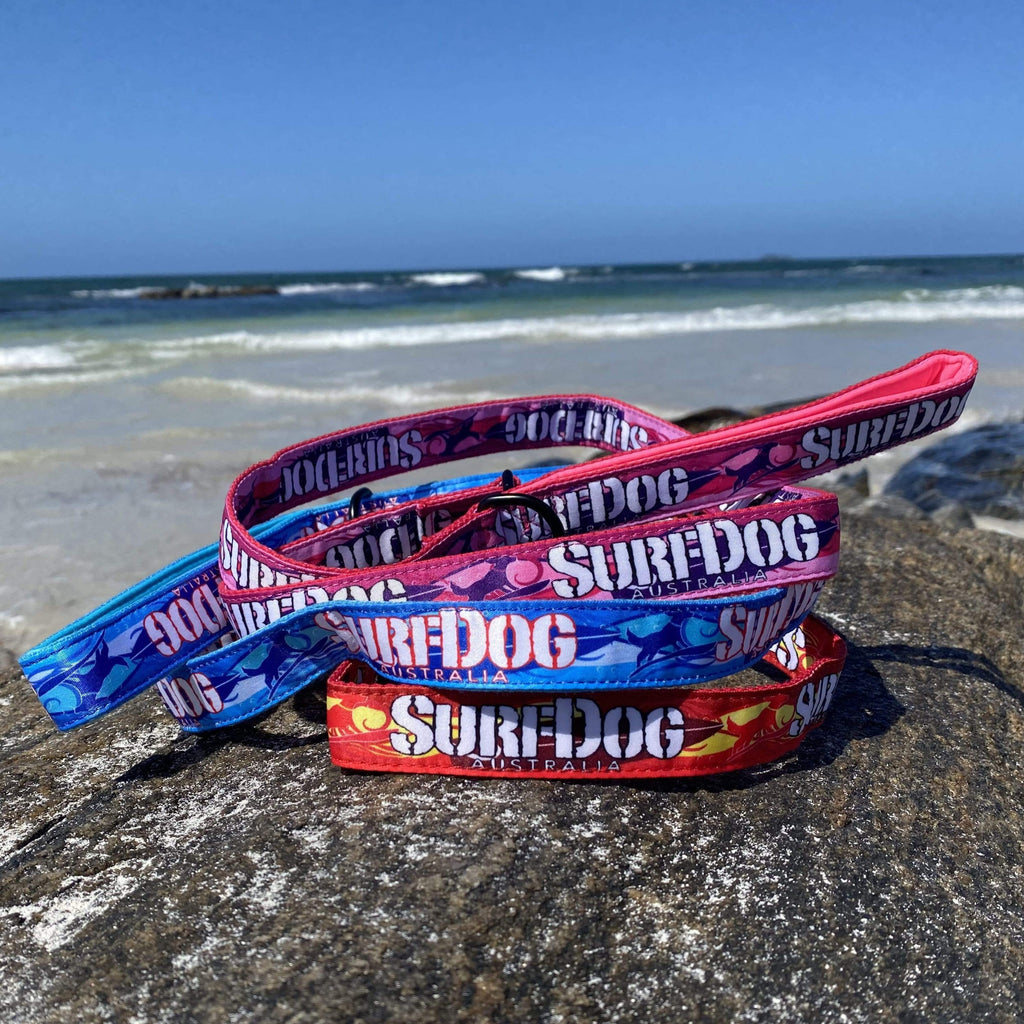 The brightest, coolest collars and leashes you will see on the beach this summer. Our collars and leashes are made with board short fabric in vibrant beach colours. Neoprene handles for comfort and 2 widths for small and large dogs. Dog leashes for dogs that love the beach