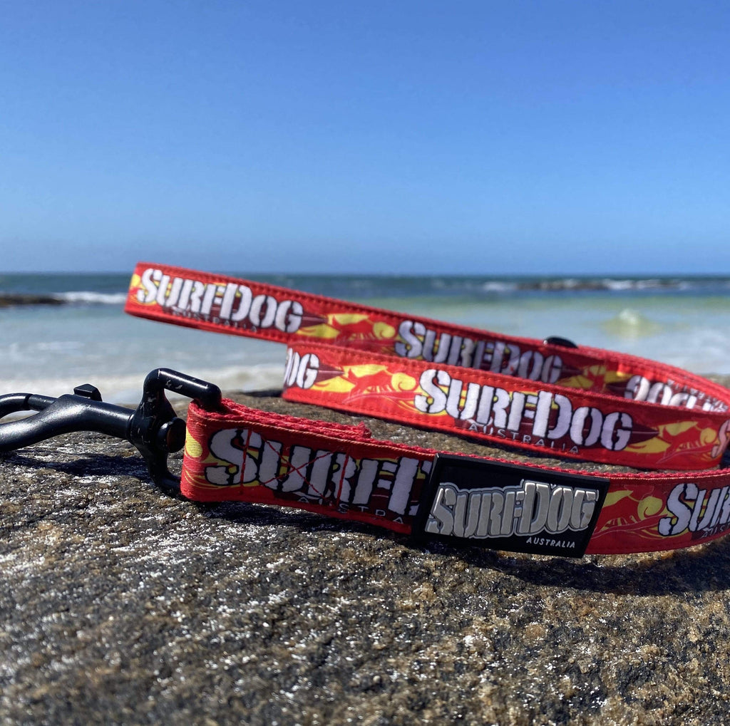 The brightest, coolest collars and leashes you will see on the beach this summer. Our collars and leashes are made with board short fabric in vibrant beach colours. Neoprene handles for comfort and 2 widths for small and large dogs. Dog leashes for dogs that love the beach