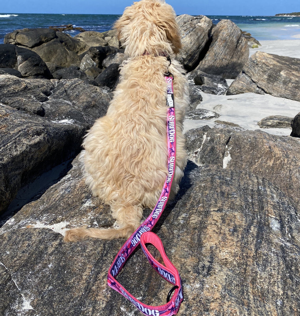 The brightest, coolest collars and leashes you will see on the beach this summer. Our collars and leashes are made with board short fabric in vibrant beach colours. Neoprene handles for comfort and 2 widths for small and large dogs. Dog leashes for dogs that love the beach