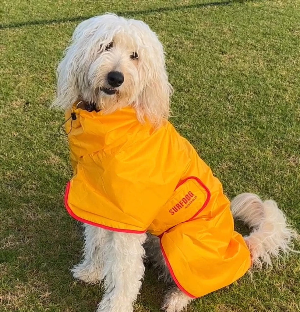 SurfDog Australia Dog Raincoats