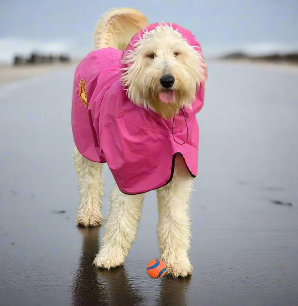 SurfDog Australia Dog Raincoats