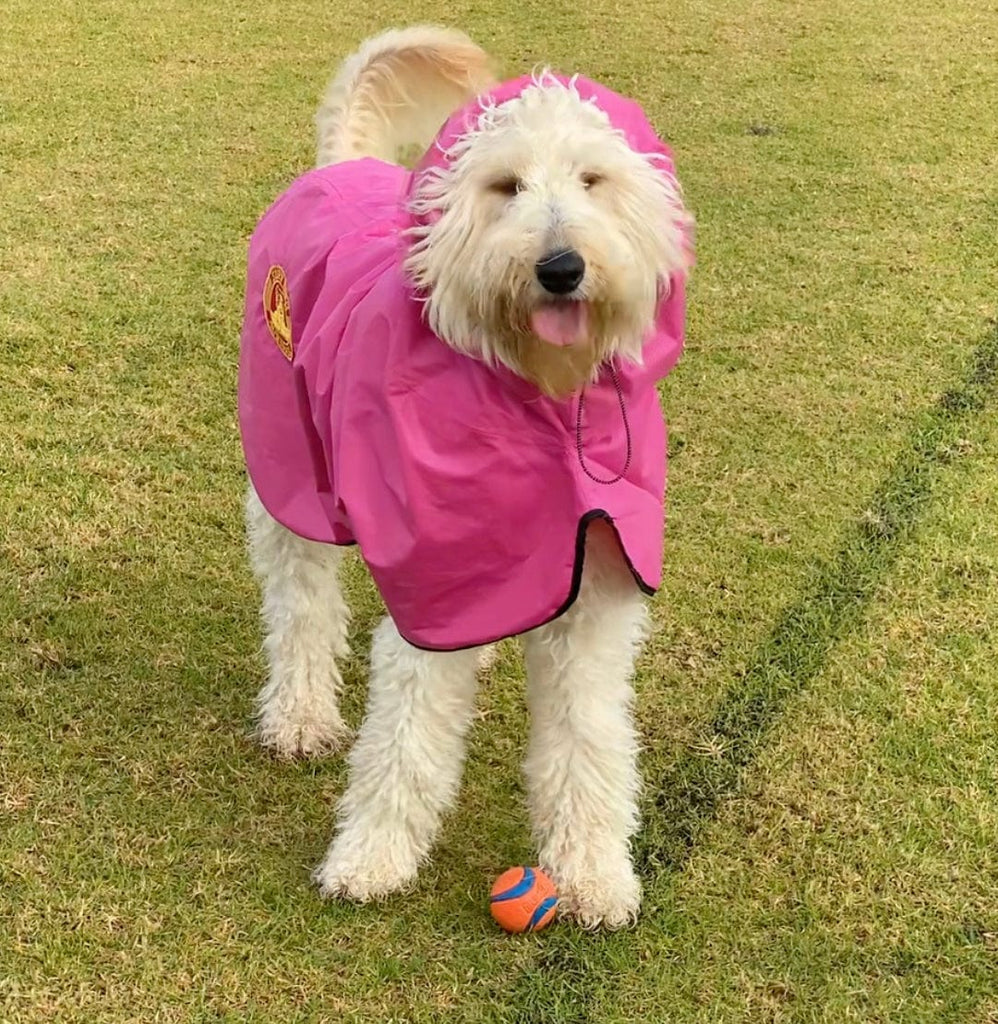 SurfDog Australia Dog Raincoats