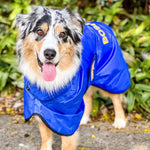 SurfDog Australia Dog Raincoats
