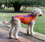 SurfDog Australia Dog Wetsuit - Custom Dog Wetsuits
