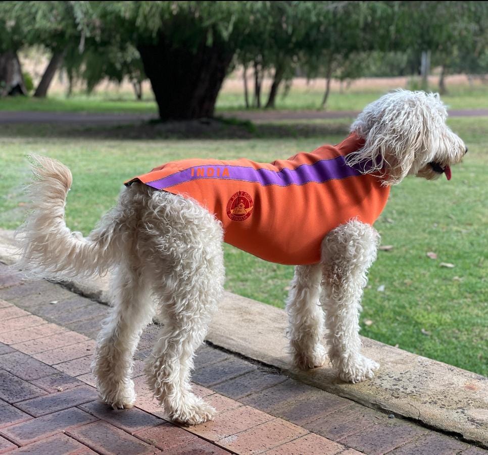 SurfDog Australia Dog Wetsuit - Custom Dog Wetsuits
