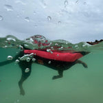 SurfDog Australia Dog Wetsuit - Custom Dog Wetsuits