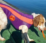 SurfDog Australia Dog Wetsuit - Custom Dog Wetsuits