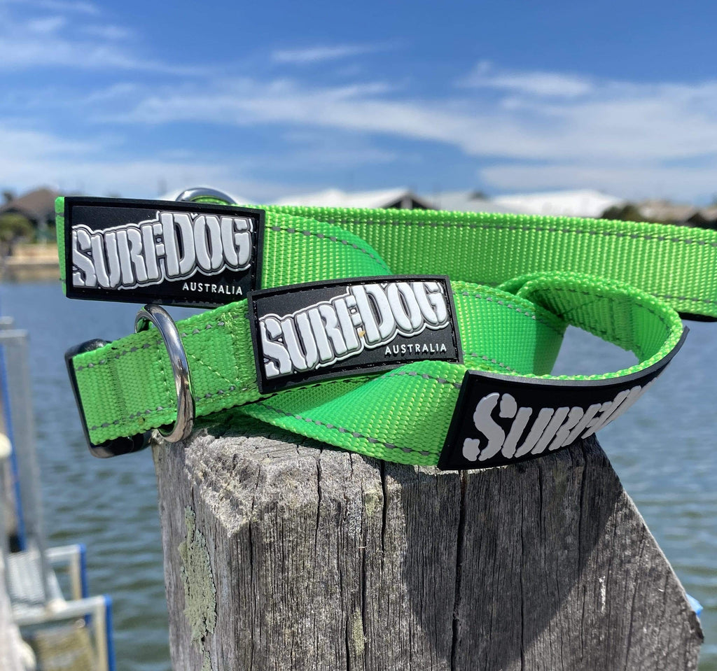 SurfDog Australia Summer 22 Collars and leashes