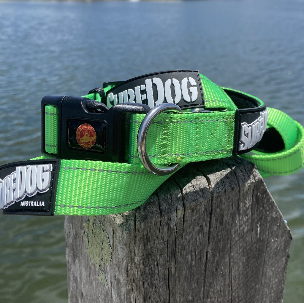 SurfDog Australia Summer 22 Collars and leashes