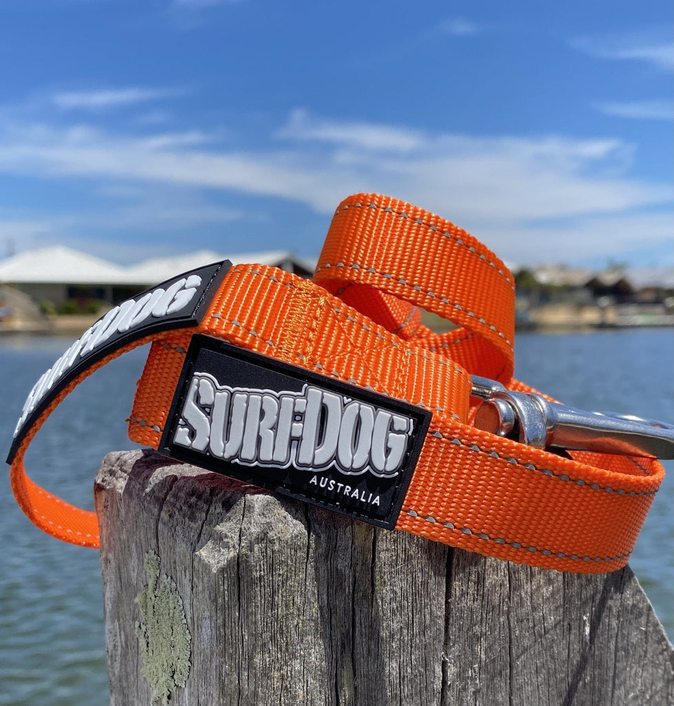 SurfDog Australia Summer 22 Collars and leashes