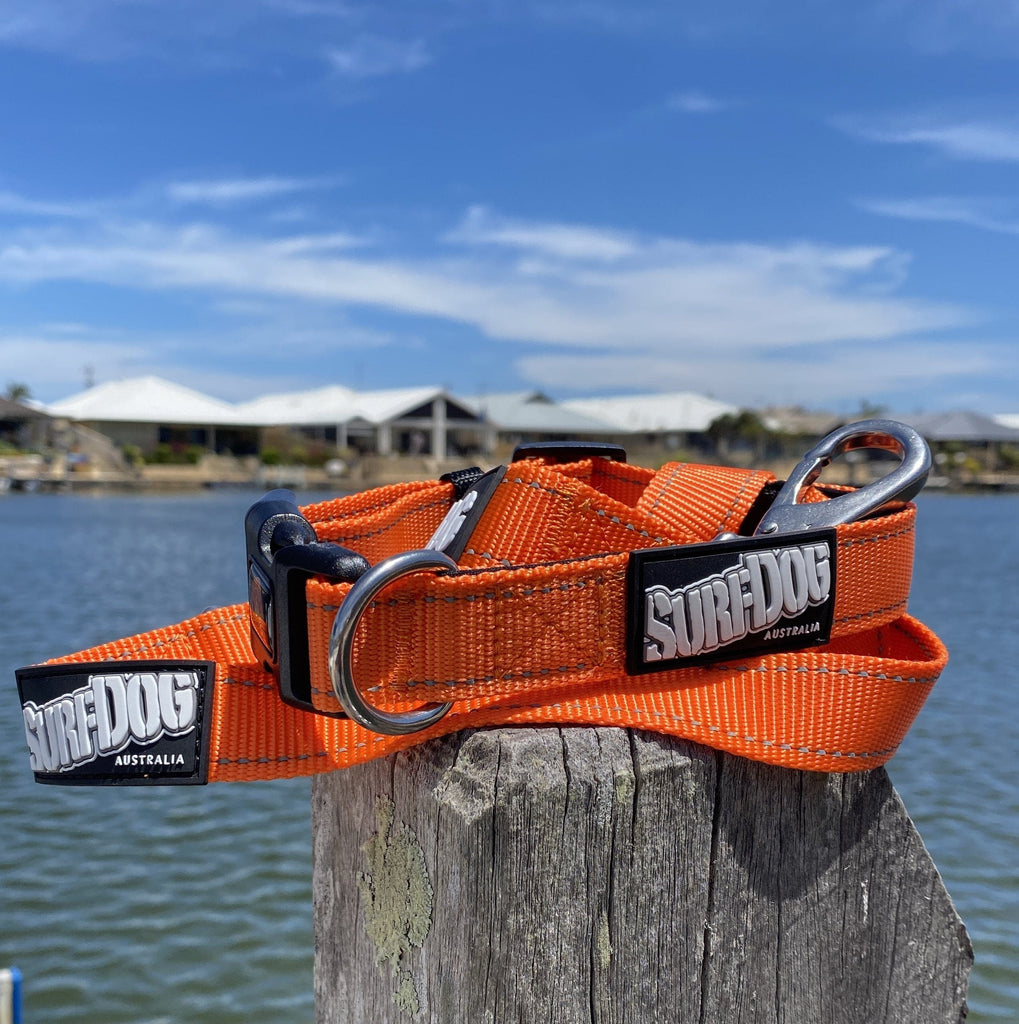 SurfDog Australia Summer 22 Collars and leashes