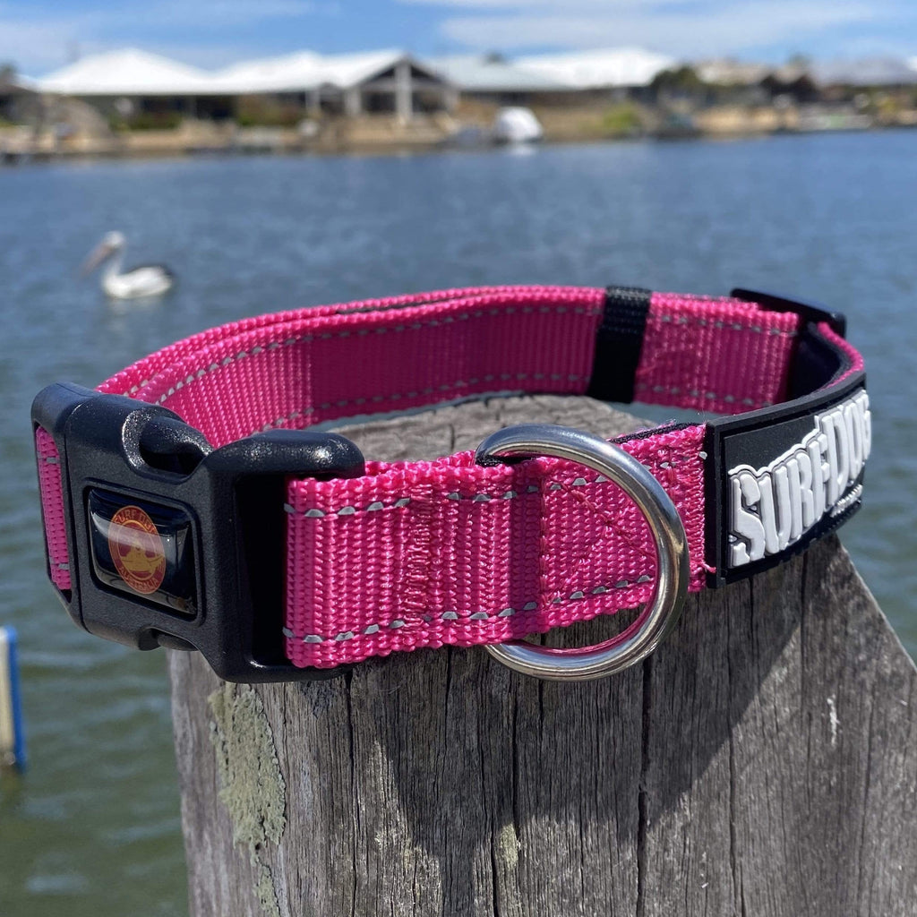 SurfDog Australia Summer 22 Collars and leashes