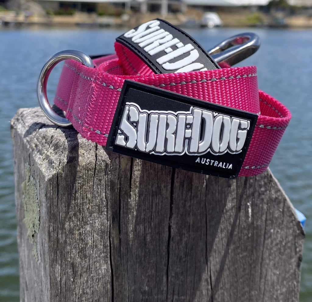 SurfDog Australia Summer 22 Collars and leashes