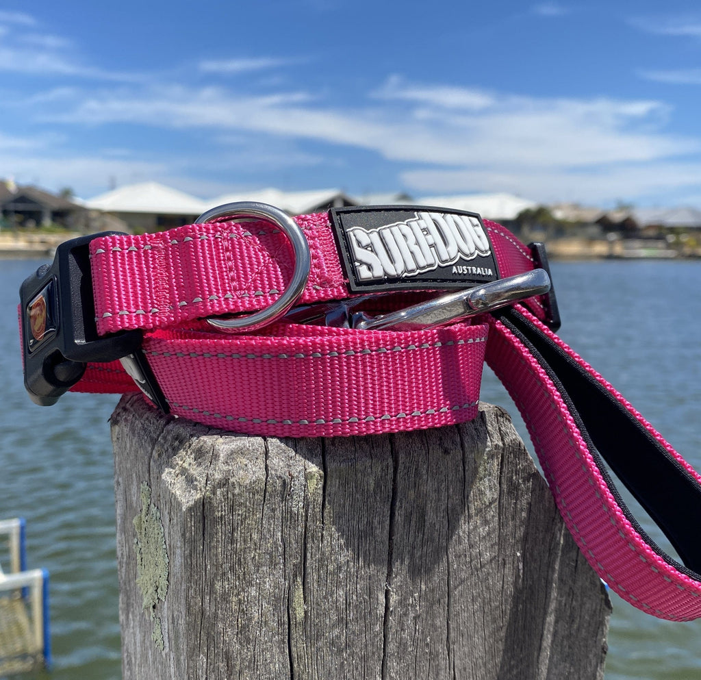 SurfDog Australia Summer 22 Collars and leashes