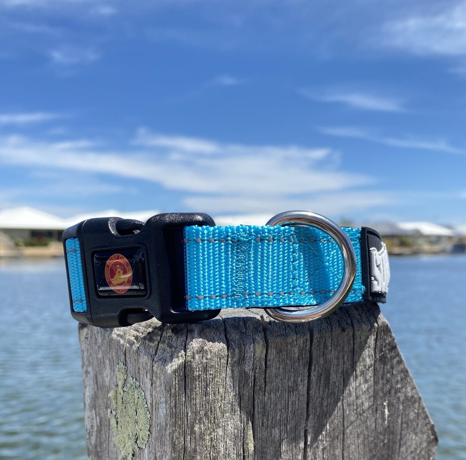 Dog Beach Collars and Leashes Surfdog Australia