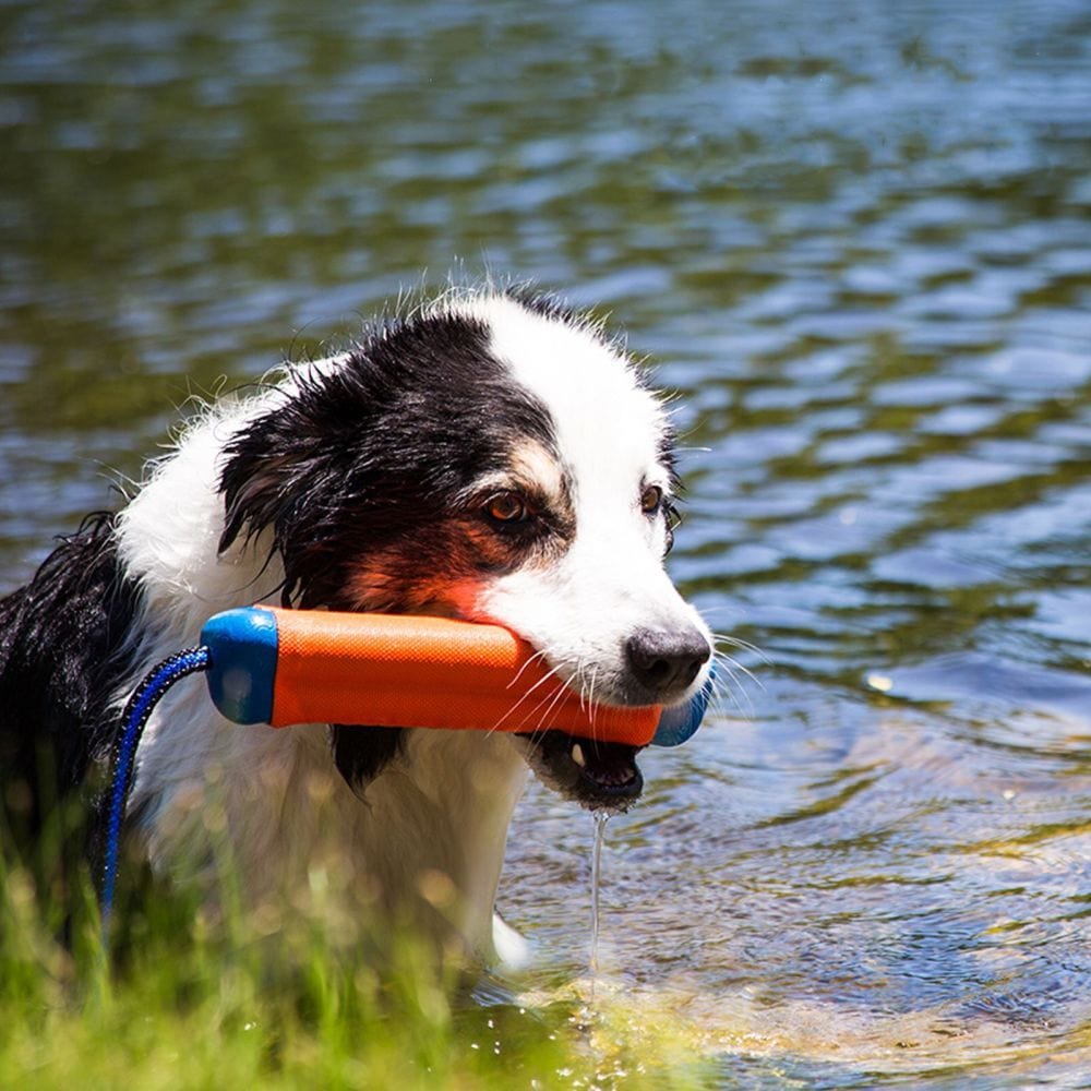 SurfDog Australia Toy - Amphibious Bumper