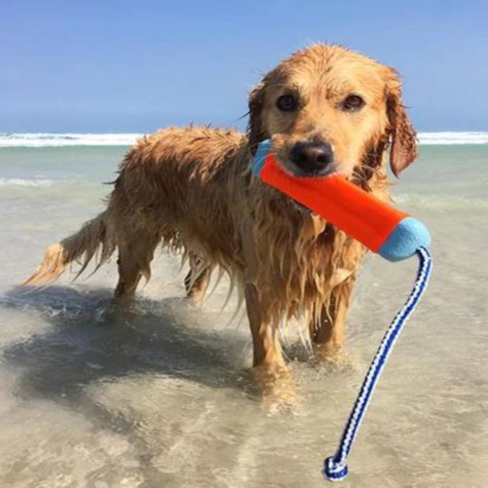 SurfDog Australia Toy - Amphibious Bumper