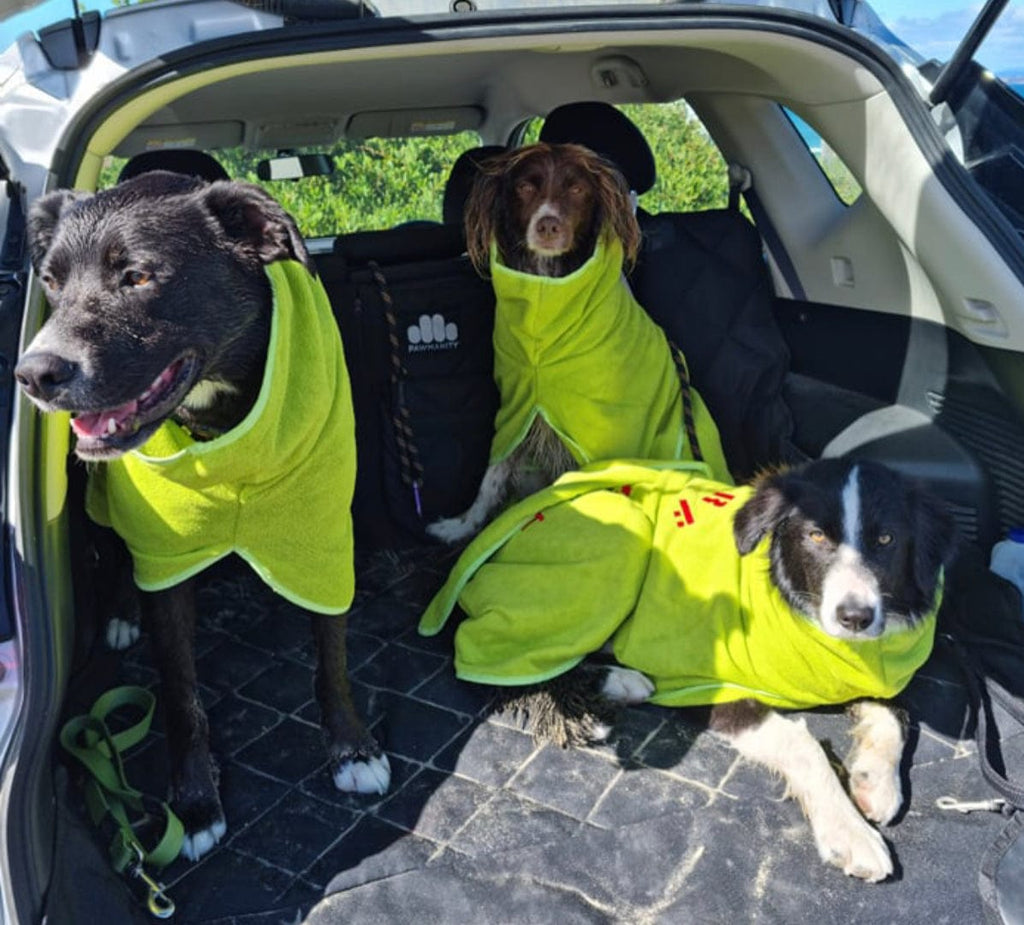 SurfDog Australia Surfdog Dog Drying Coats - Dog Drying Coats Dog Drying Coats Surfdog Australia