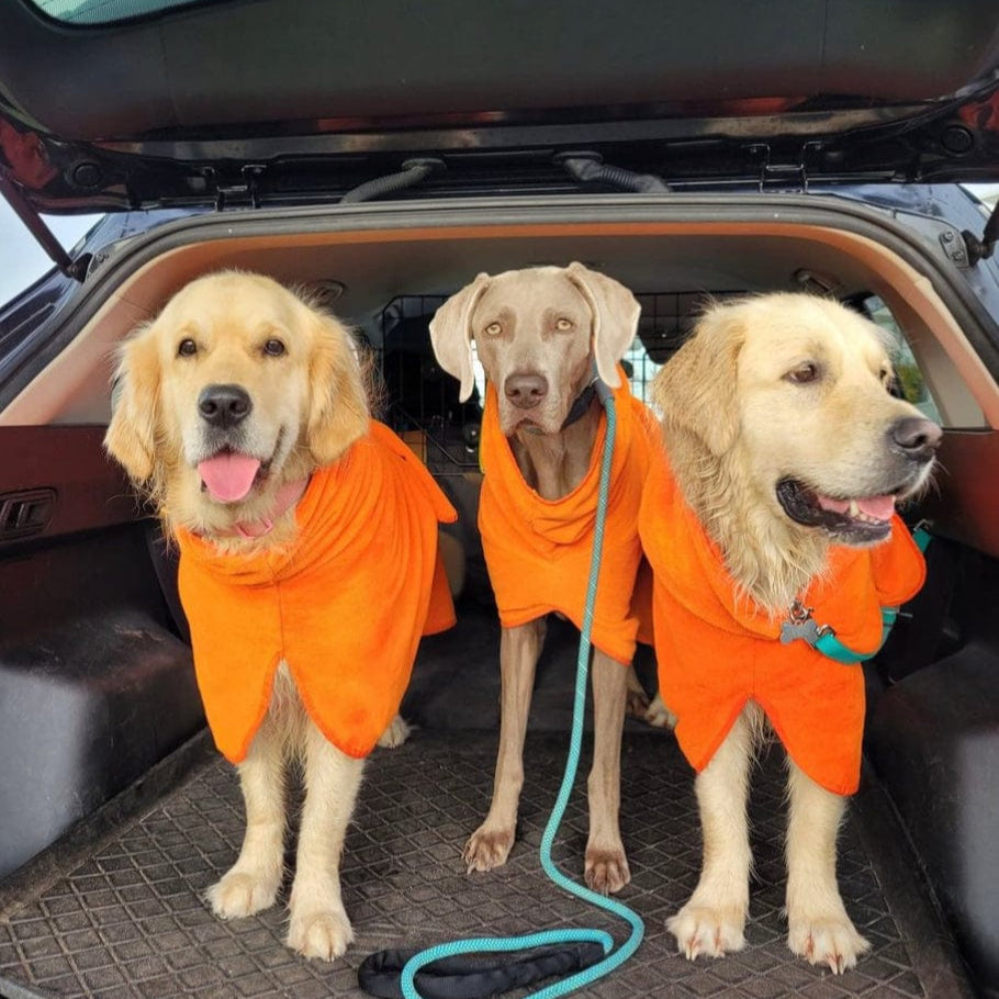 SurfDog Australia Surfdog Dog Drying Coats - Dog Drying Coats Dog Drying Coats Surfdog Australia