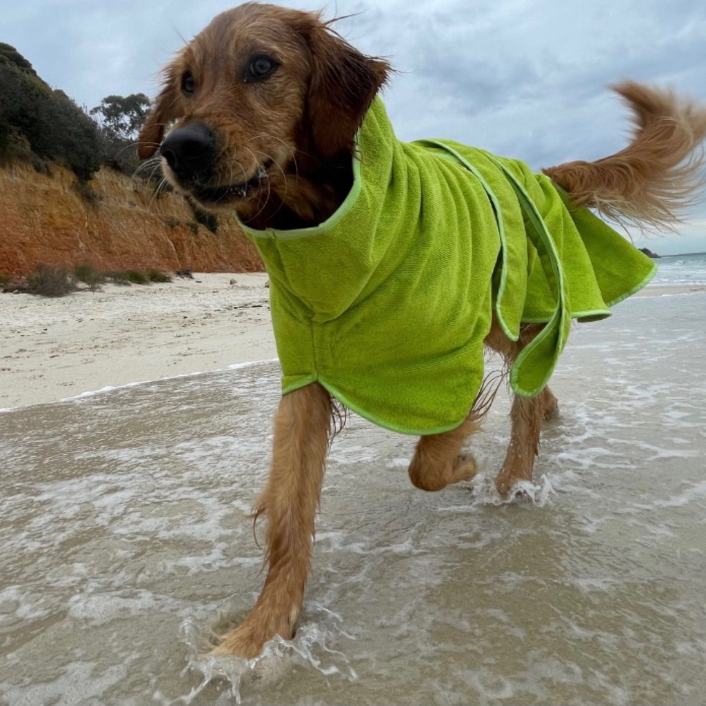 SurfDog Australia Surfdog Dog Drying Coats - Dog Drying Coats DOG Surfdog Beach Robes - Dog Drying Coats