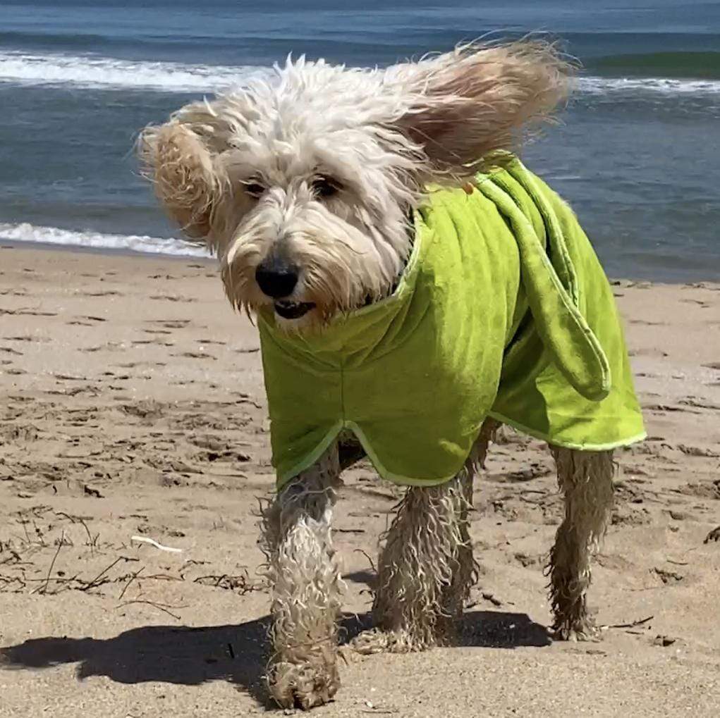 SurfDog Australia Surfdog Dog Drying Coats - Dog Drying Coats DOG Surfdog Beach Robes - Dog Drying Coats