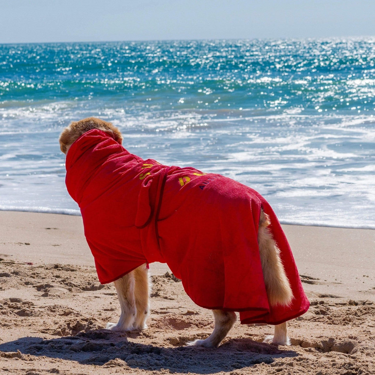 Dog Drying Coat – Ultra - Absorbent Quick - Dry Microfibre Robe for Small to XXL Dogs Surfdog Australia