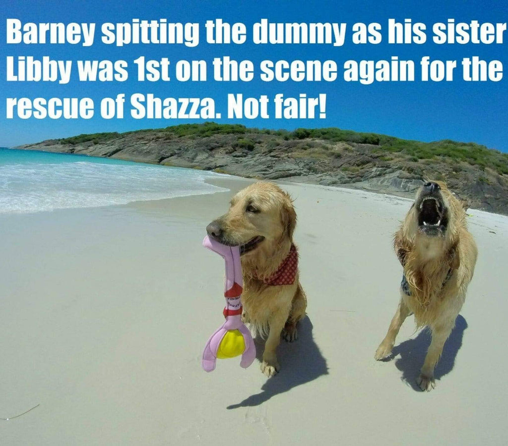 Surf Dog Toys Dog Toys - the Famous Shazza!